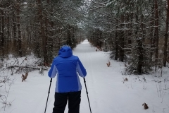 Pine-Grove-Trail-snowshoeing-002-reduced